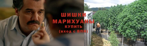 стафф Мегион