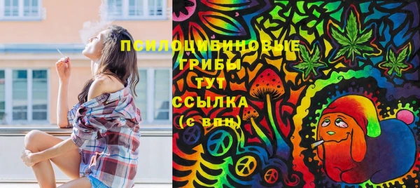 не бодяженный Медвежьегорск