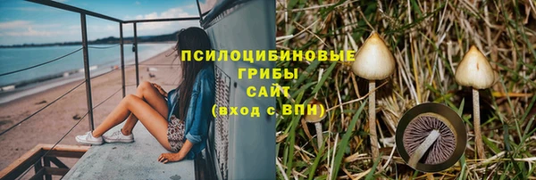 гашик Медногорск