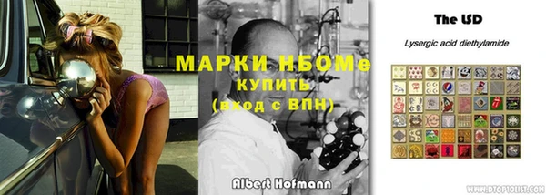 индика Михайловка