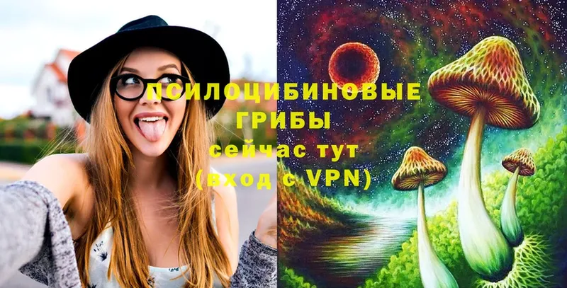 Псилоцибиновые грибы прущие грибы  купить   Никольское 