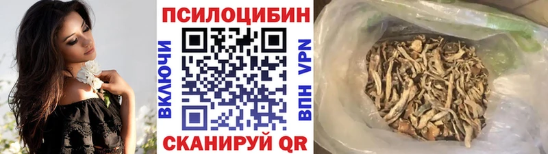 даркнет сайт ОМГ ОМГ ONION Галлюциногенные грибы мицелий Никольское
